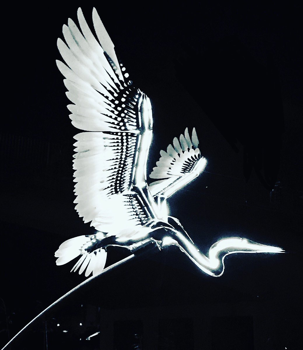 ESLighting's tweet photo. #lumieredurham @artichoketrust #ilovedurham #jacquesrival #cloud #caitlindrcbrown #waynegarrett #endoverend #lucymcdonnell #heron #jonvoss
#lighting #light #lumiere #lightart #lightfestival #art #projection #installationart #publicart #outdoorart #sculpture #modernart #durham https://t.co/fg67thXUSz