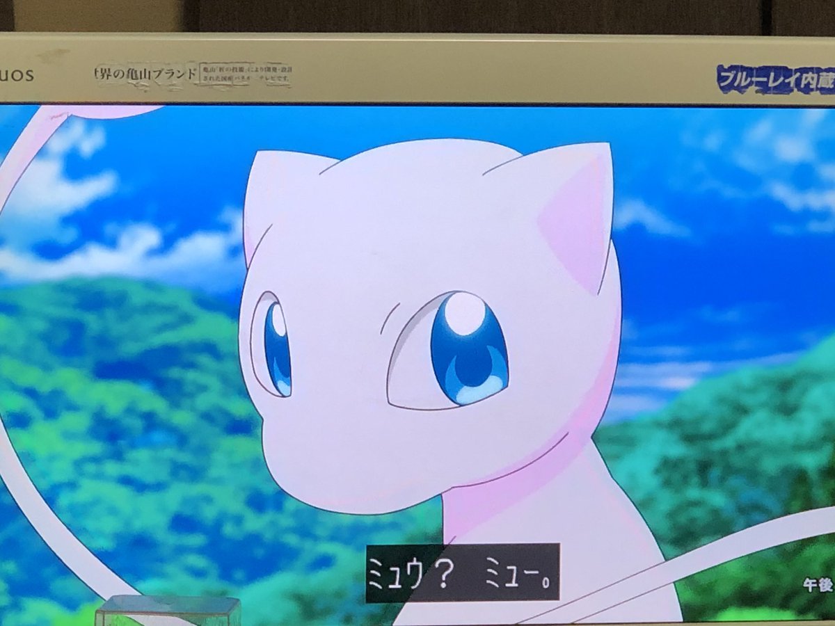 ট ইট র 綱良 ﾂﾅﾖｼ ポケモン専用垢 ミュウ可愛いでやんす アニポケ Anipoke