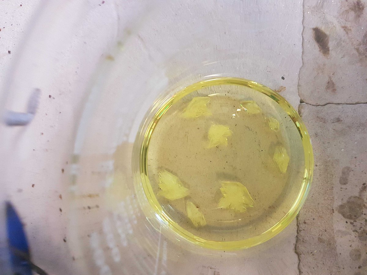 Andrestrujado's tweet image. S for Sunday. Oh no S is for sulfur. For the last day of #RealTimeElements I give you sulfur in all its glory #monoclinic #rhombic &amp;amp; #plastic @RealTimeChem @cenmag