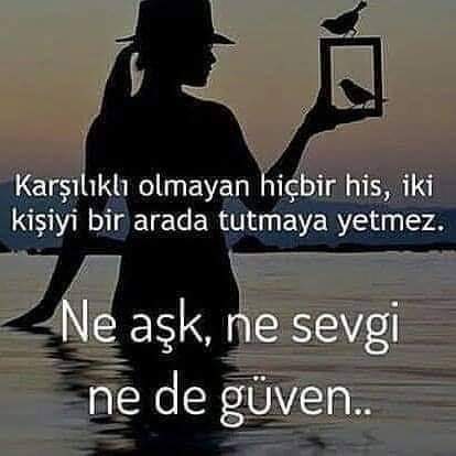 Hüseyin Güneş (@hseying79698424) on Twitter photo 