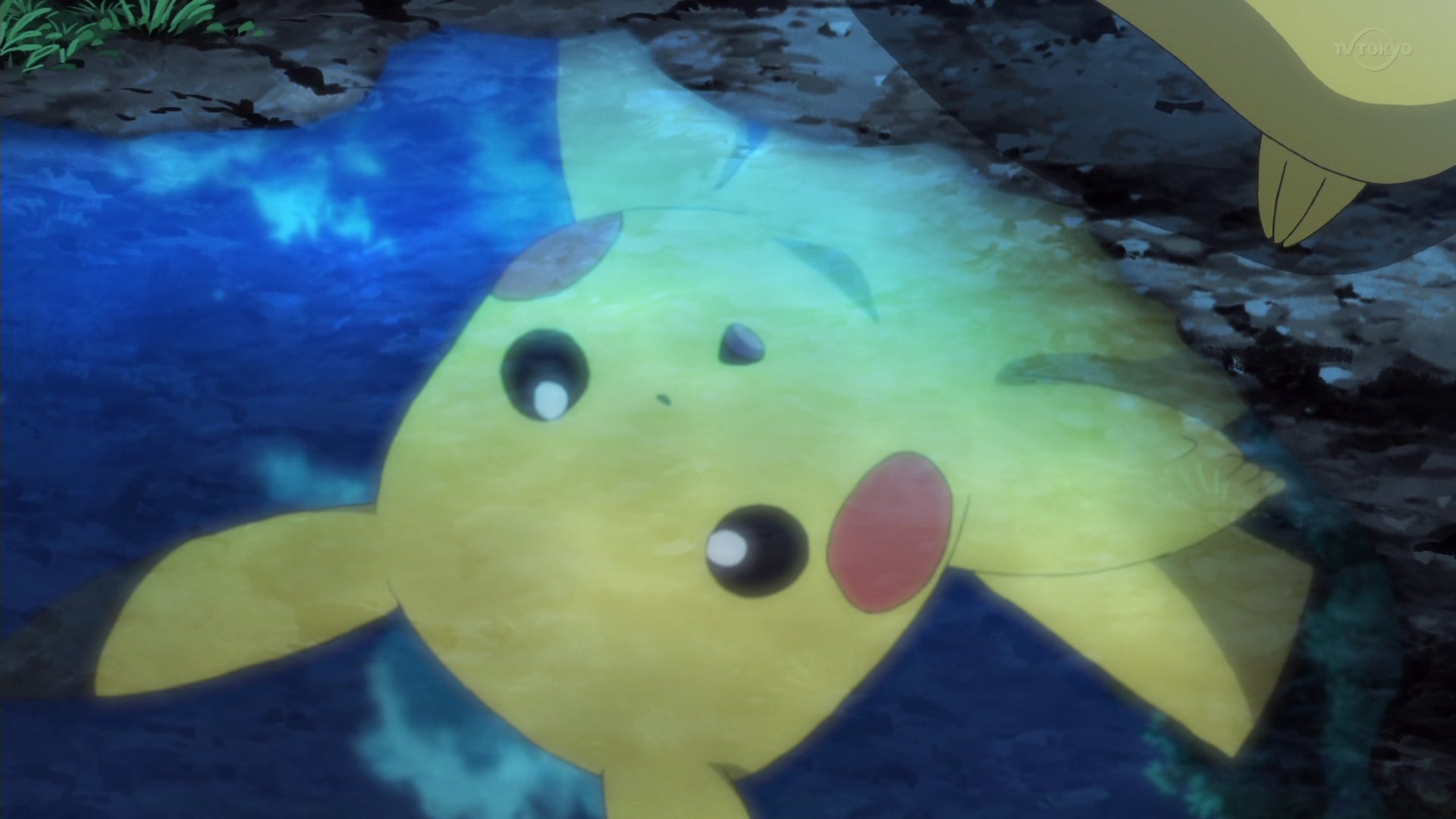 Zexy Ar Twitter なつき進化のピチューが ピカチュウに 進化できた理由が ガルーラになついていたから っていうの好き アニポケ Pokemon1 T Co 9zyz7qsgun Twitter