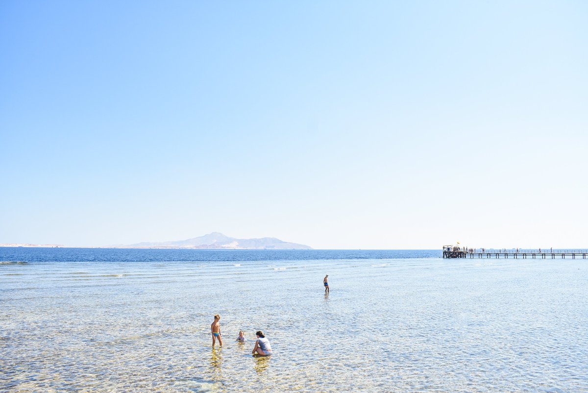 ParrotelAqua's tweet photo. Stunning Nature ,Come And Join Us 🌊🏖
#ParrotelAquaParkResort
#ItsAllAboutYou
https://t.co/ytbaAkkpFL https://t.co/26aUvdt7BF