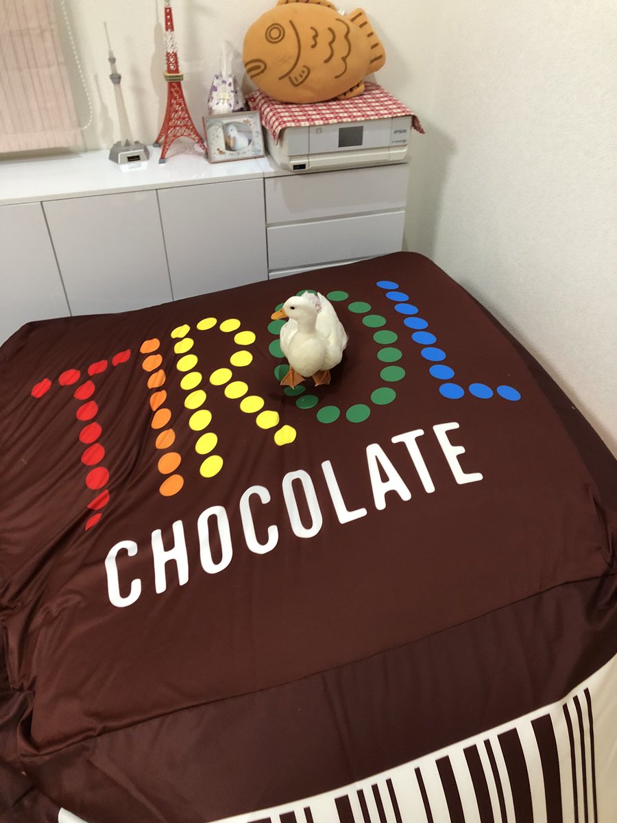 チロルチョコ 超巨大クッション これが夢だった♡超巨大チロルチョコクッションが当たるキャンペーン
