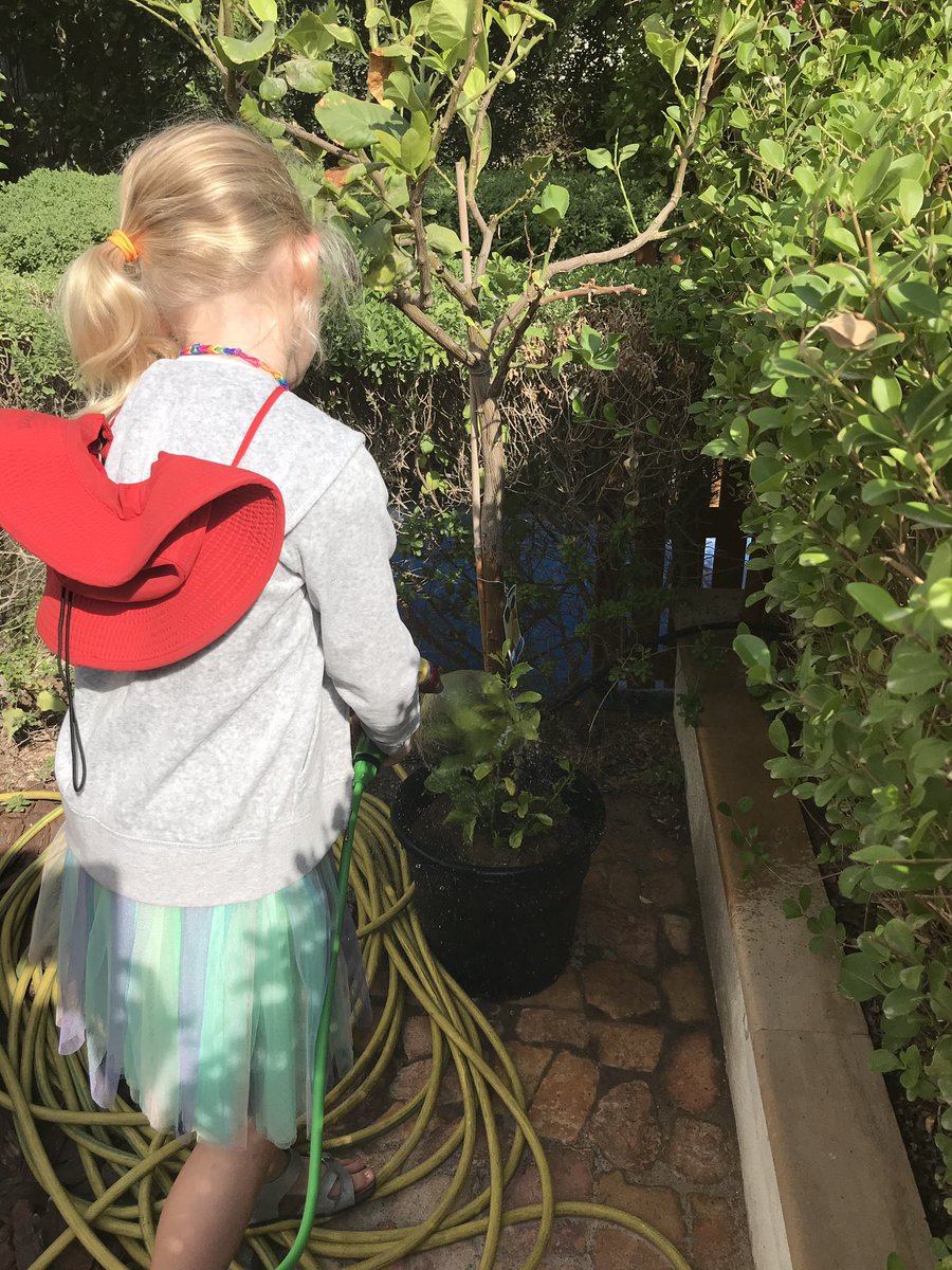 DESSCares's tweet photo. Well done to the DESS Environmental Group for making sure the crop is well cared for!  Which of the herbs are friendly and need to grow together?
@Dessdubai
@desshead
@expo2020
@WWF 
@eegemirates 
#Sustainability https://t.co/vHI1Jt3Wll