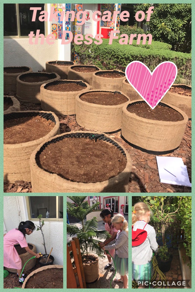 DESSCares's tweet photo. Well done to the DESS Environmental Group for making sure the crop is well cared for!  Which of the herbs are friendly and need to grow together?
@Dessdubai
@desshead
@expo2020
@WWF 
@eegemirates 
#Sustainability https://t.co/vHI1Jt3Wll