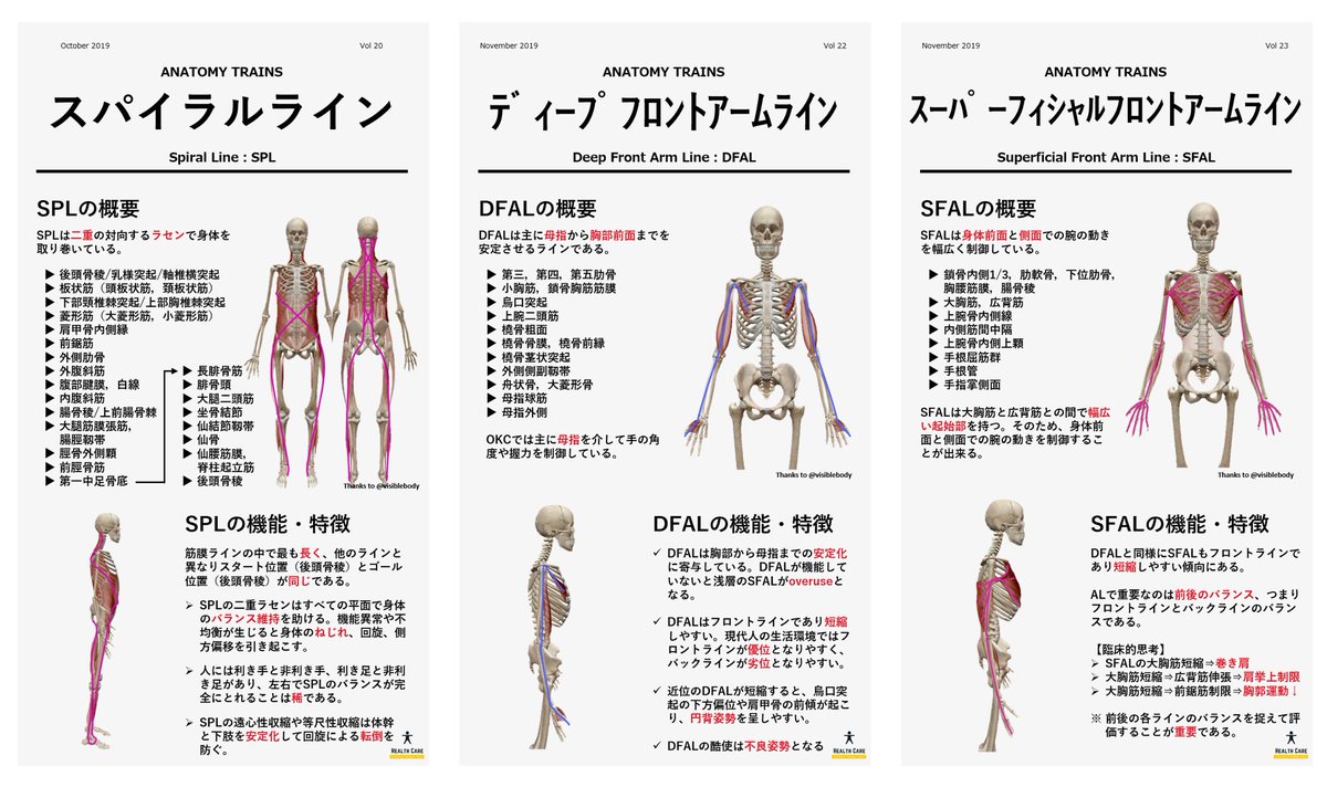 8/23まで！Anatomy Trains: アナトミートレイン 8/23まで！Anatomy Trains: アナトミートレイン