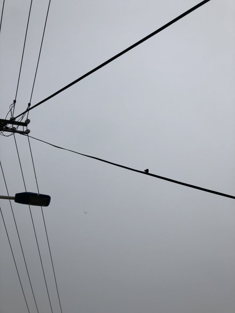 HankZone's tweet image. new wallpaper