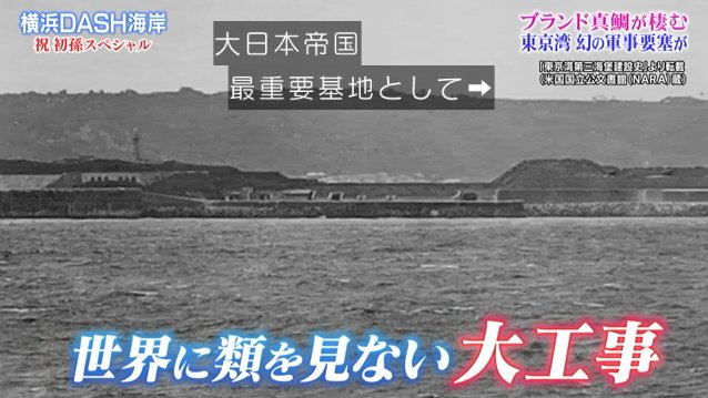 城島リーダーがdash海岸の干潟でマテガイを採ろうと思ったら 海の専門家も 40年で初めて と驚く生物が出現 鉄腕dash 2ページ目 Togetter