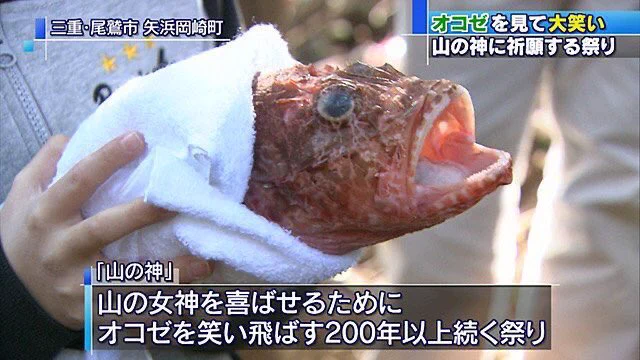 山の神に祈願するためにオコゼを笑い飛ばす祭り！？オコゼは怒っていい・・・