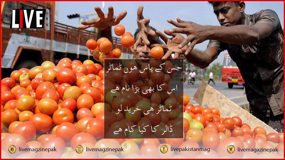 LiveMagazinepak's tweet photo. Akhir hamara timatar bhi dollar se kam nahi :D
#livepakistan #timatar #tomatoeprice #tomatoe #karachi
#sundayvibes #prices #news @SAMAATV #GeoNews @BOLNETWORK @aaj_urdu https://t.co/S08gTd0Glj