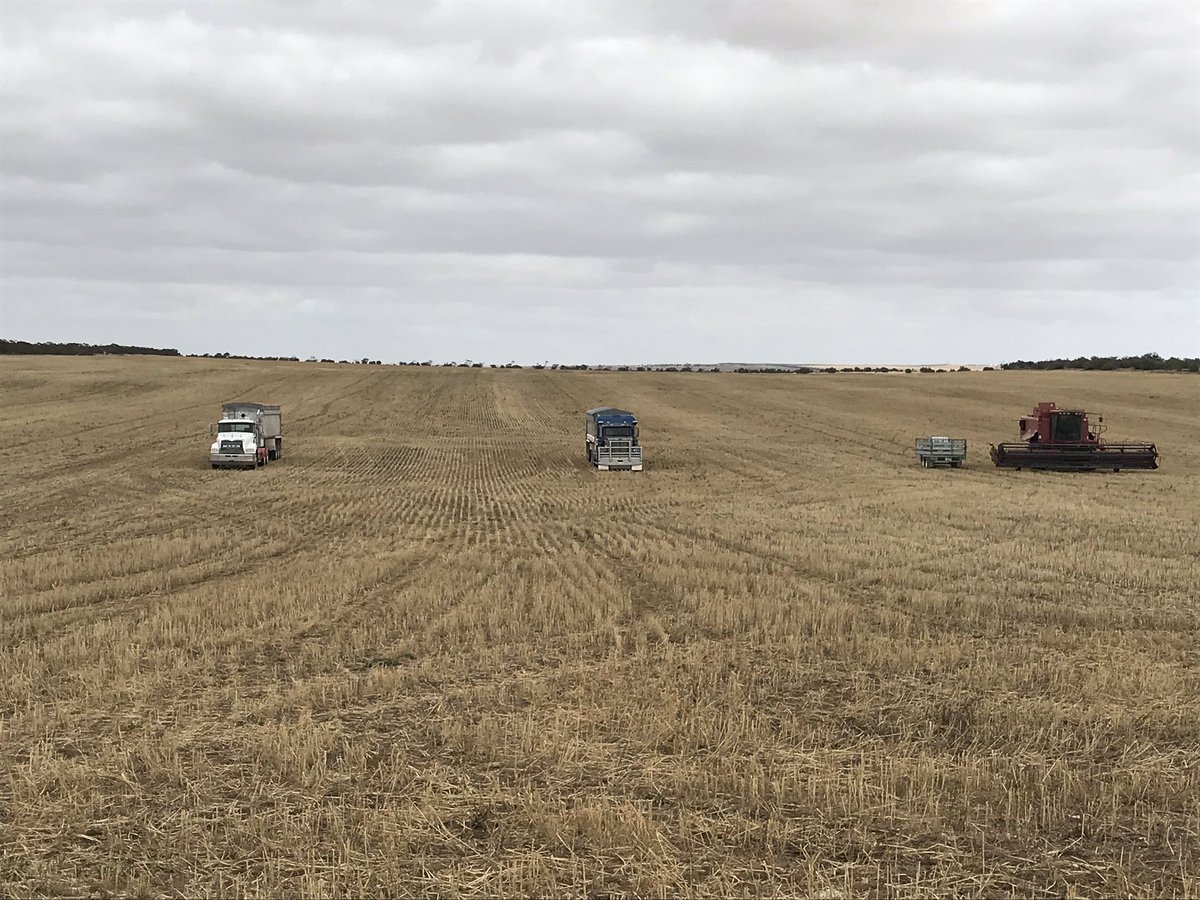LienertBen's tweet photo. Harvest 2019. Hopefully Harvest 2020 lasts a bit longer 🤞 https://t.co/pwfMuLhkDZ