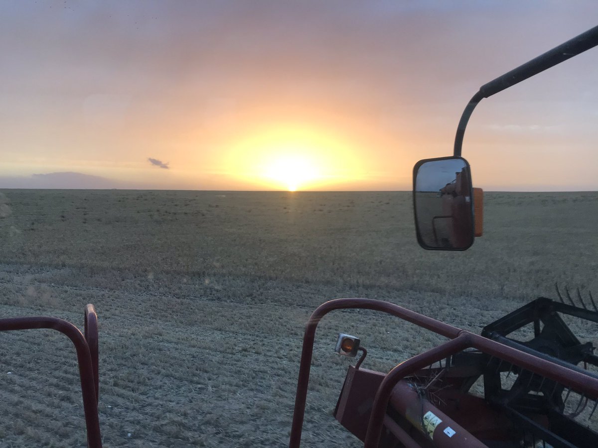 LienertBen's tweet photo. Harvest 2019. Hopefully Harvest 2020 lasts a bit longer 🤞 https://t.co/pwfMuLhkDZ