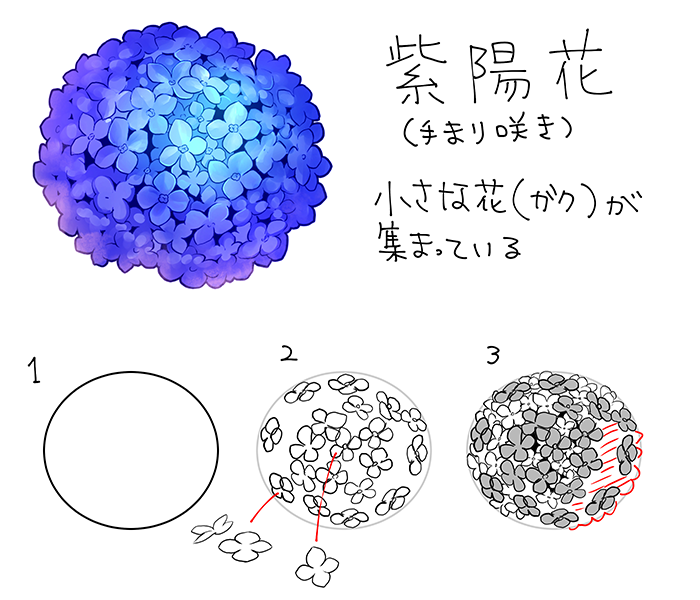 いちあっぷ على تويتر アジサイの描き方 花の形の捉え方を中心に紹介 和の花 植物の描き方4選 椿 乙女椿 紫陽花 桜 いちあっぷ T Co Zmcikldant 絵が上手くなる記事はコレ