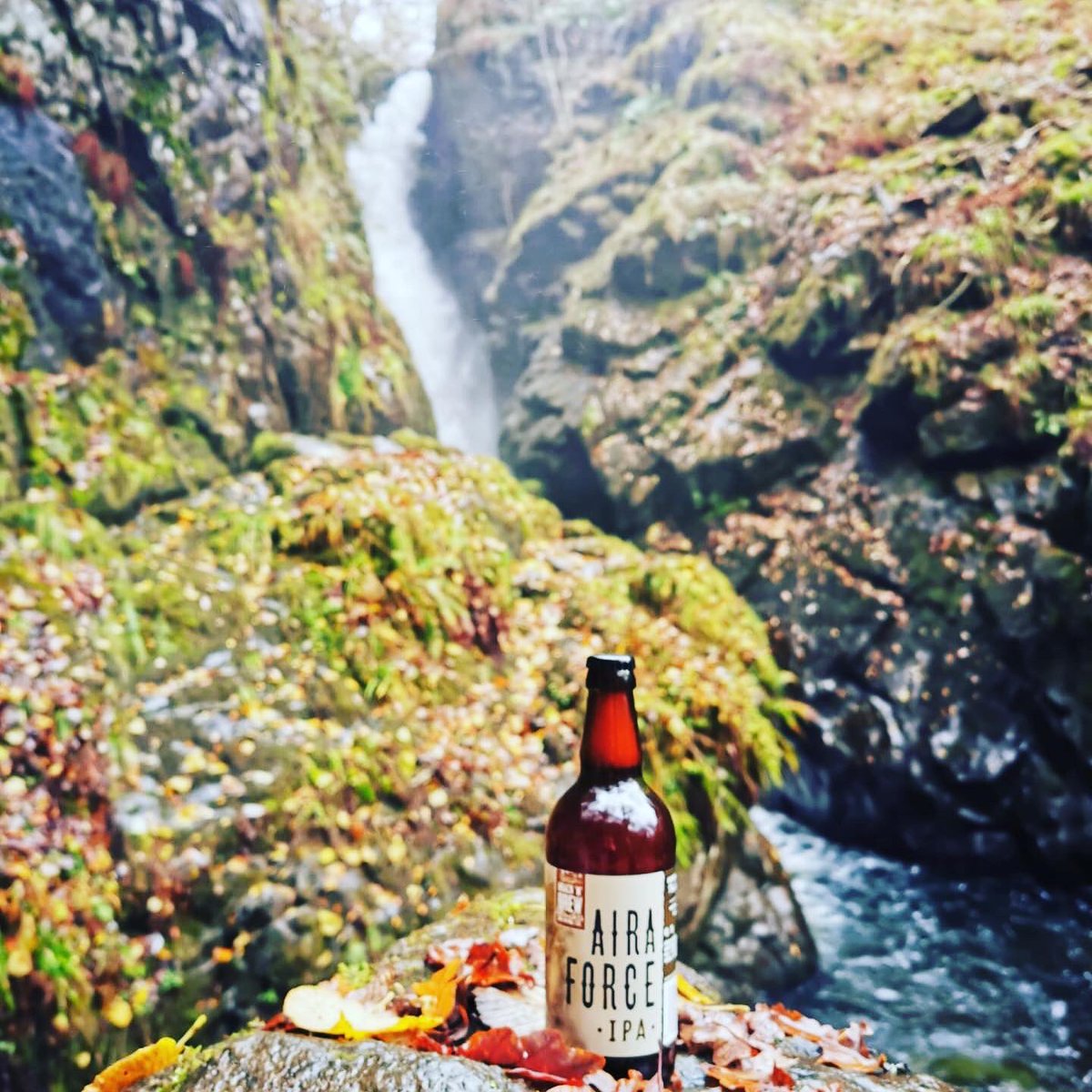 Brack'N'Brew tweet media