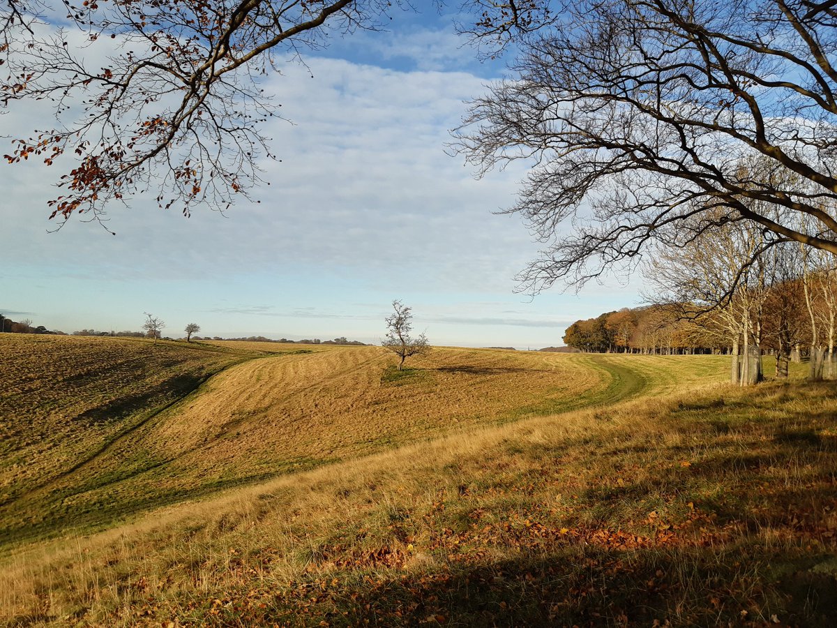 scatterpillar1's tweet image. Sunday morning when everyone manages to get up and out...#notmissingthis #sundaymornings #Phoenixpark