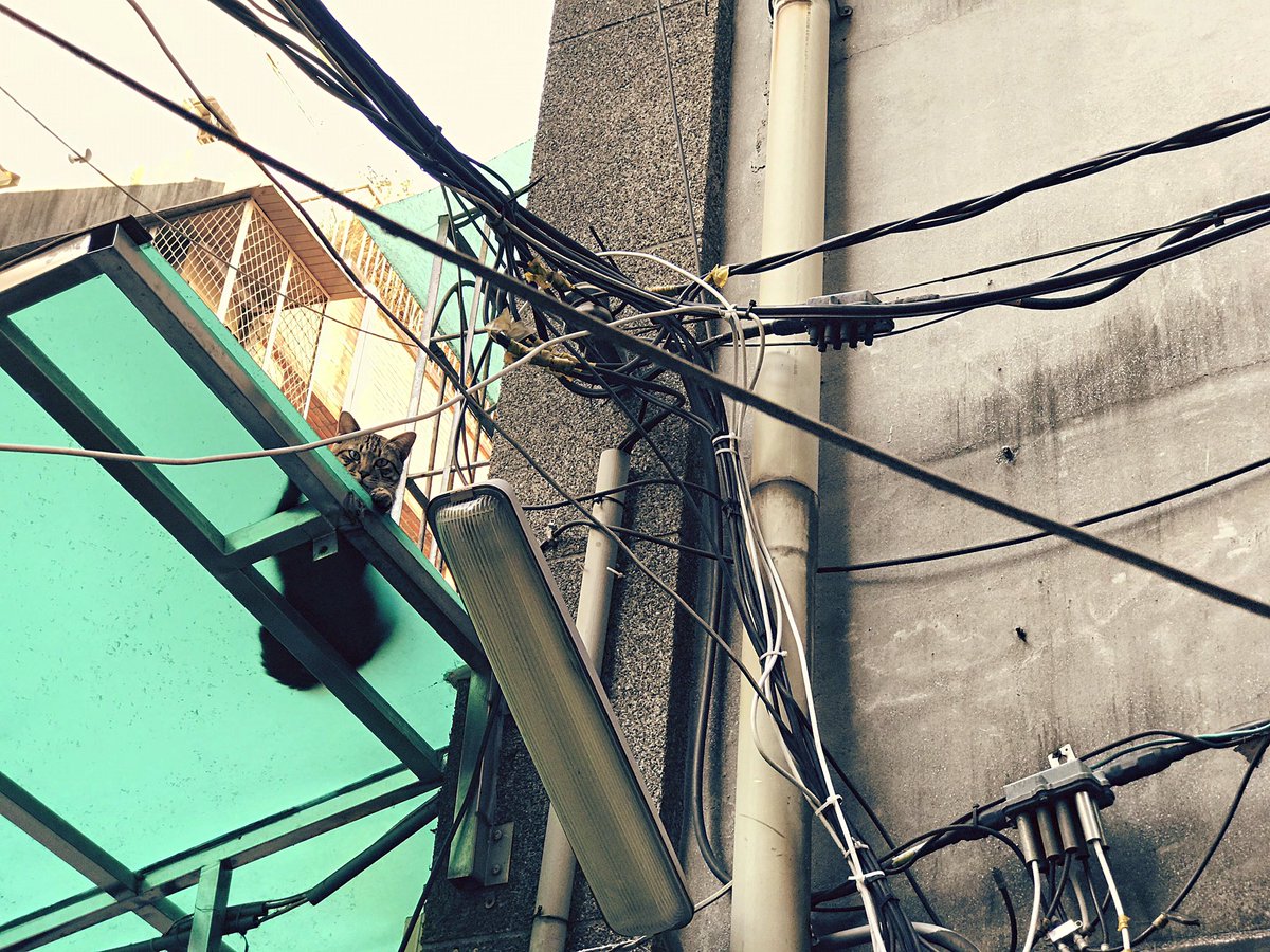 eblis37's tweet photo. ．
.
Roaming around 
.
．
#roam #taipei #tour #igerstaiwan #oldbuildings #alley #streetshot #streetshot #moody #taiwan #slowlife #photooftheday #feelings #travel #スナップ　#ストリートスナップ #taiwantravel #写真好きな人と繫がりたい #街撮り　#ファインダー越しの私の世界 https://t.co/kX45rJMFSR