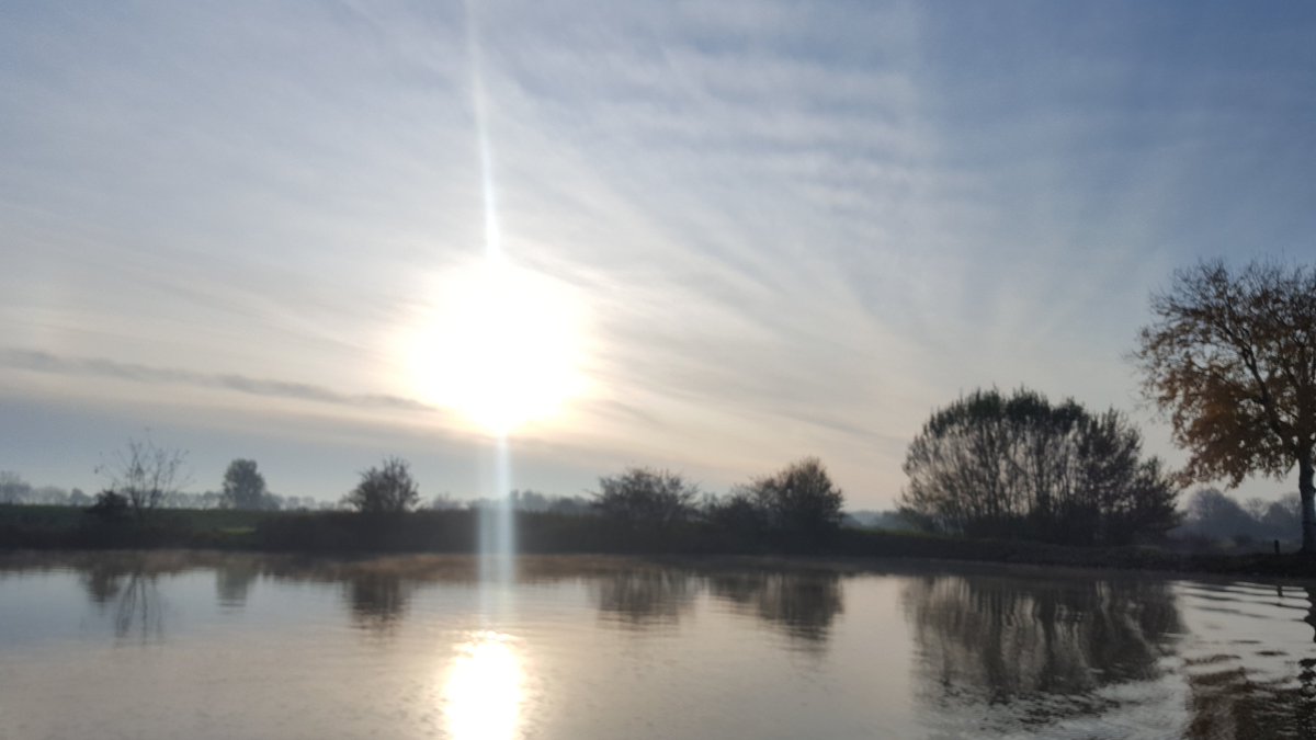 culliemeisjes's tweet photo. Prachtige ochtend!
#culemborg #lek #opstaan #earlyrise #sunrise #perfectstartoftheday #culemborgklopt #uiterwaarden #riverlife https://t.co/OvVs6NL6yz