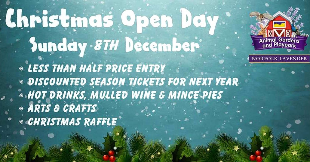 Join us on Sunday 8th December for our Christmas Open Day 🎄 

#NorfolkLavender #OpenDay