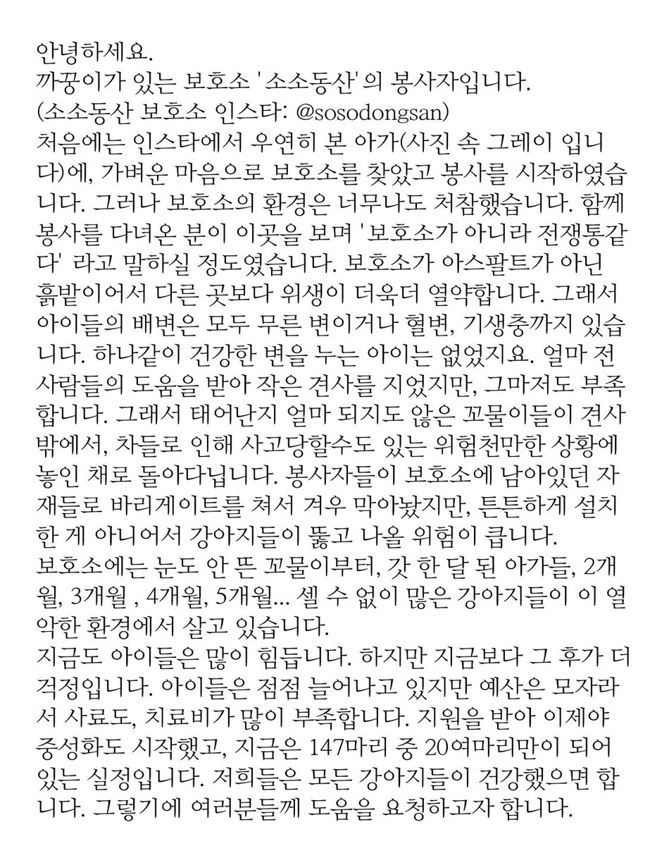 보스네 🤍비누가족찾아요!🤍 tweet media