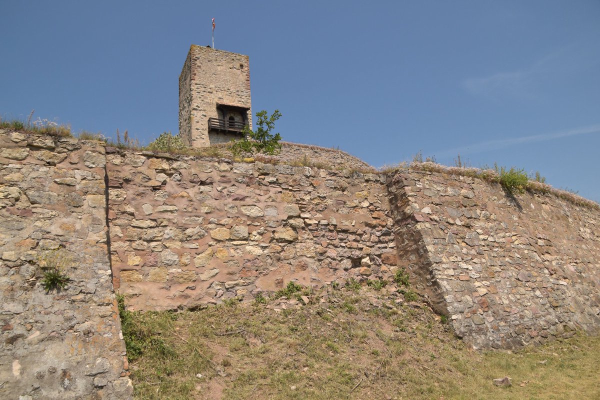 Château du #Wineck, #Katzenthal, #Elsass, #Frankreich 🇫🇷

... die Wurzeln der Burg Wineck gehen auf einen Wohnturm zurück, der etwa um 1200 errichtet wurde. Nach einem Brand in der Mitte des 15. Jahrhunderts wurde die Burganlage verlassen und nicht mehr genutzt