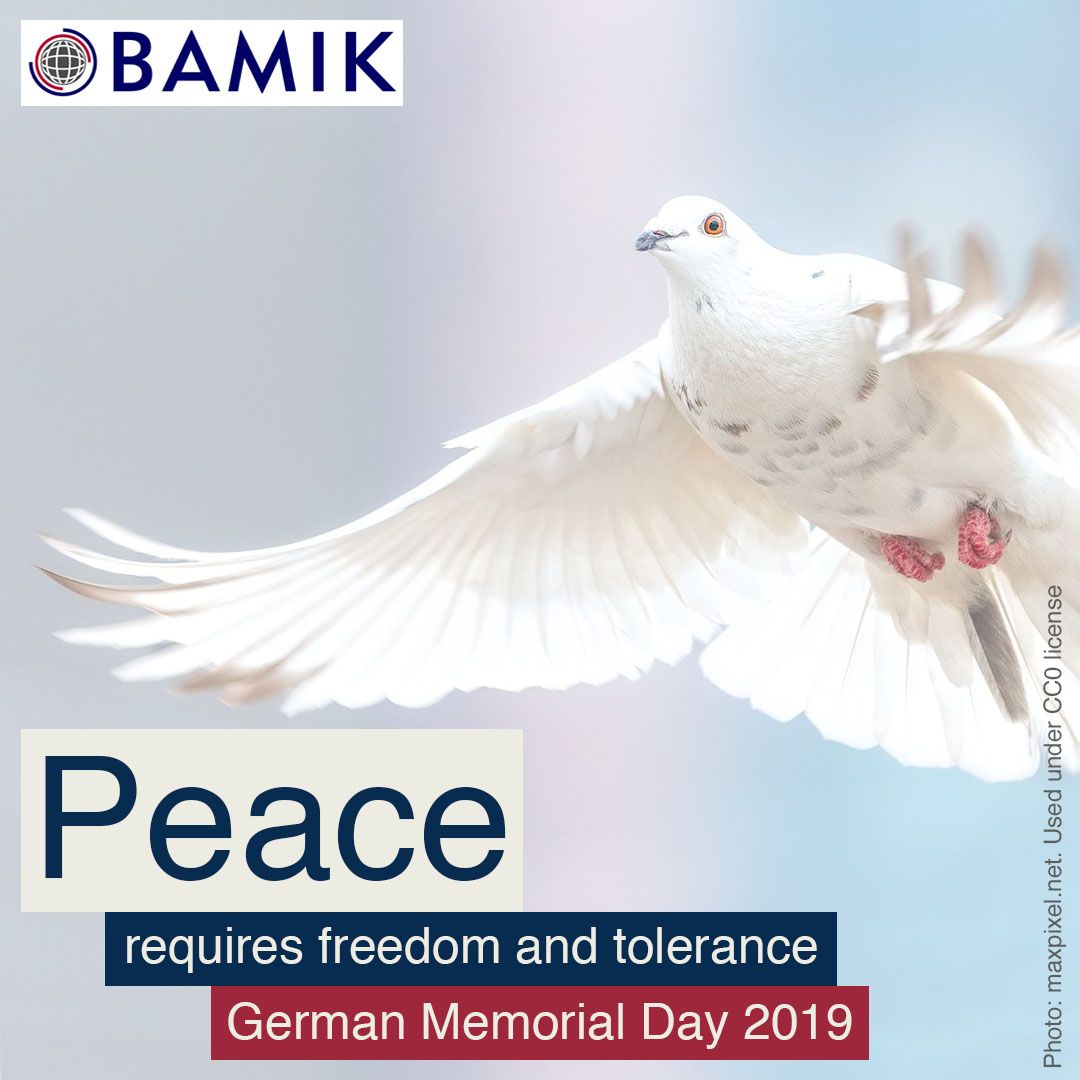 Diversity Webinars tweet media