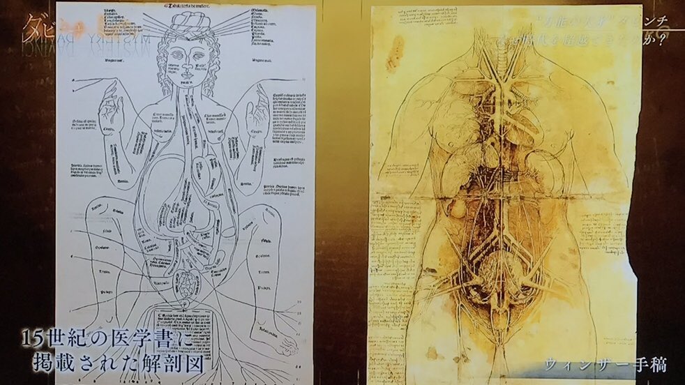 インヴェスドクター 1枚目 15世紀の医学書の解剖図 左 と 同時期のレオナルド ダ ヴィンチが書いた解剖図 右 2枚目 心臓の弁周囲で血流が渦を巻くことと弁の開閉についてのレオナルド ダ ヴィンチの考察 左 と現代技術により血流が渦を巻く