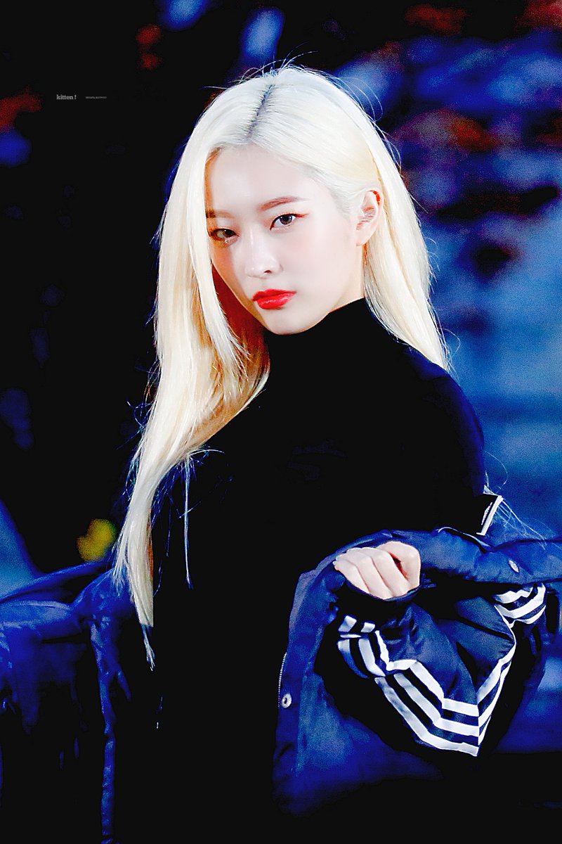kitten980701's tweet photo. 191116  😻❄️
#희나피아 ＃HINAPIA #은우 #정은우 #EUNWOO https://t.co/rOvzvF6wDU