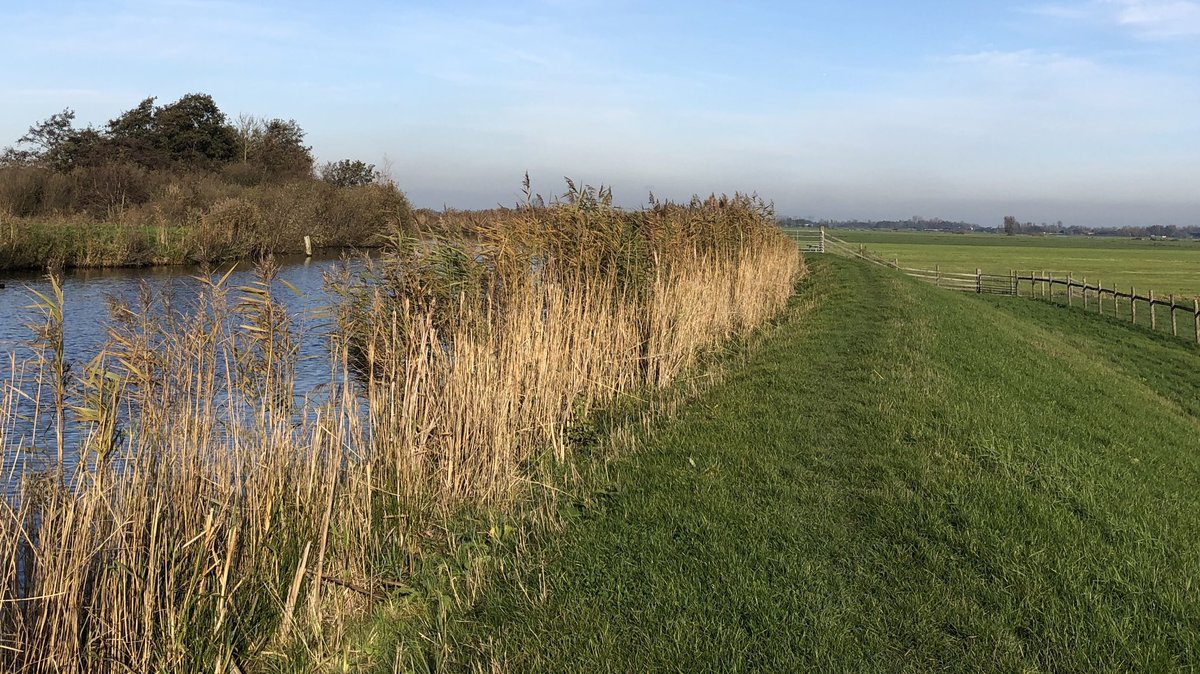 Groenehartstoc1's tweet photo. De #KamerikseNessen is één van de #mooisteplekjesvanhetGroeneHart. De ontoegankelijke eilandjes in de #Grecht liggen midden in de groene polders tussen #Kamerik en #Zegveld. Alleen te overzien vanaf de Grechtdijk. https://t.co/OylyYHHNCd