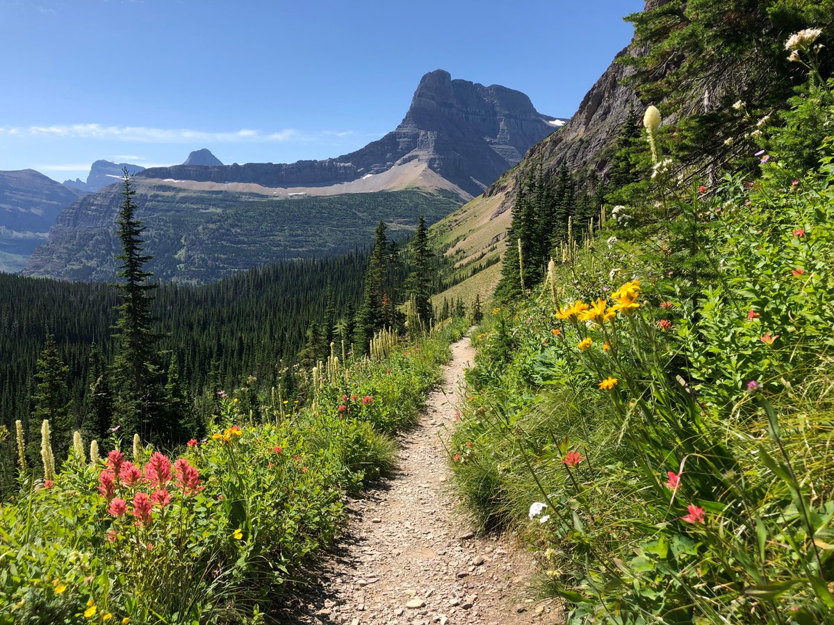 It's #NationalTakeAHikeDay! 

With 700+ miles of hiking trails in Glacier National Park, it's hard to choose a favorite but this view from the Ptarmigan Tunnel trail is at the top of our list. 

<a href="/GlacierNPS/">Glacier National Park</a> <a href="/GNPConservancy/">Glacier National Park Conservancy</a>