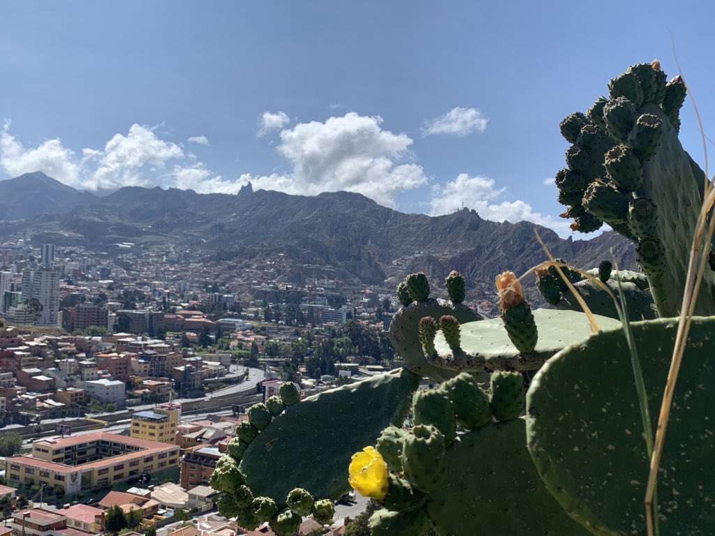 NeisaCondemaita's tweet photo. Views of my 16K #Run at 13,620 feet above sea level. In #LaPaz city #Bolivia #peaceforBolivia https://t.co/ffUXxmmlUn