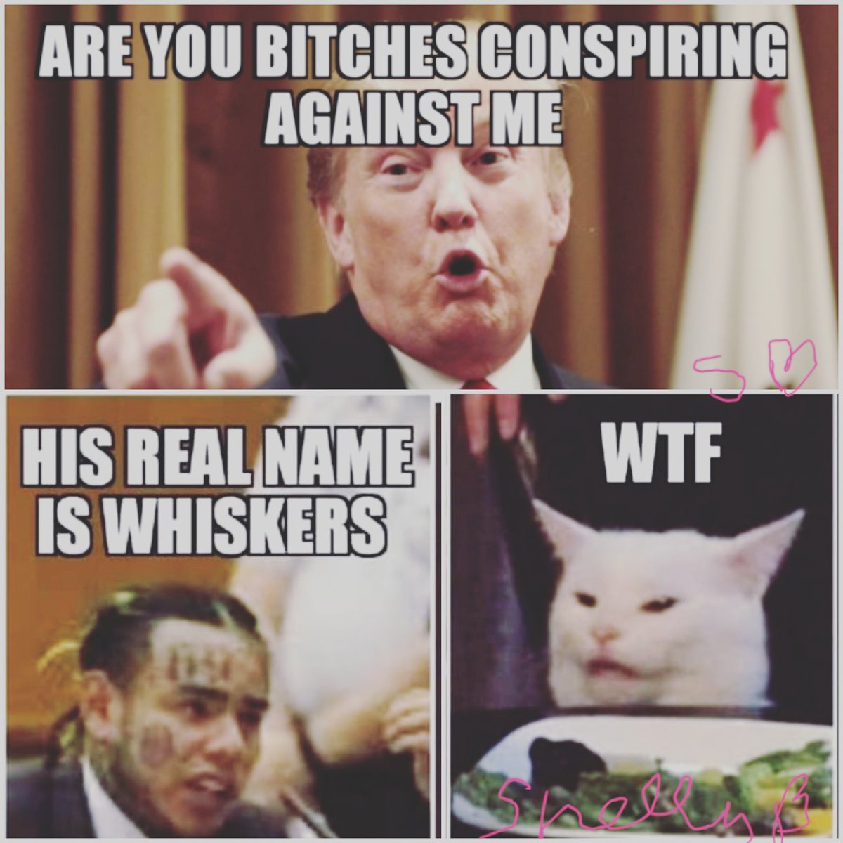 #wtf #snitches #shellybean #trumpsyou #trump #bitches #politics sixtynine #snitch #bitches #conspiring #turned #yourhonor #noloyalty #whiskers #snitchesgetstitches #tellall #cnn #fox #realnews #cats #feline #felyin… https://www.instagram.com/p/B4-ZT9llajX/?igshid=1vmlfjkbinfl3 …