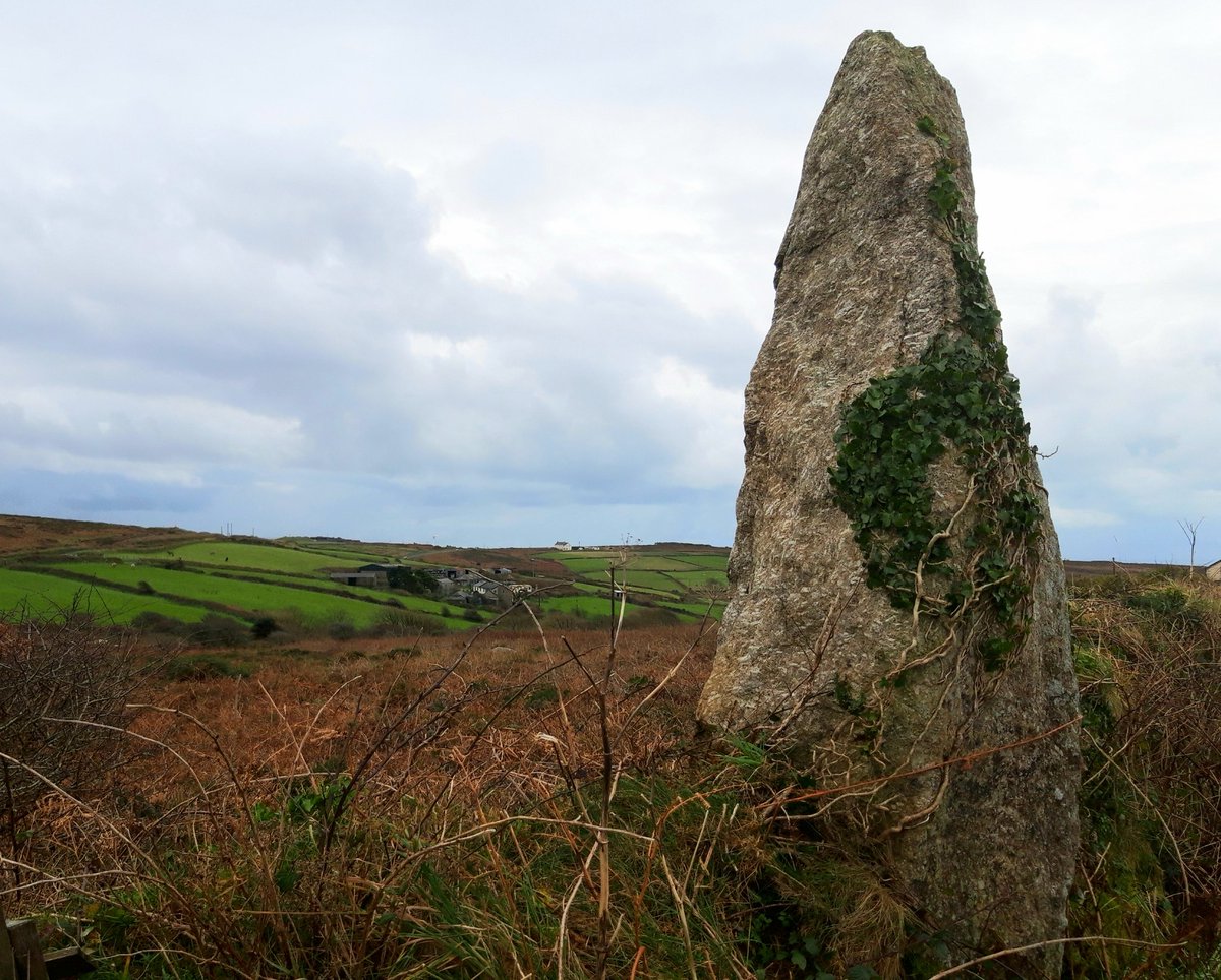 Wheal Buller Standing Stone is another menhir that looks very different from each angle. Re-erected in the 1980's I believe and now part of a hedge. Not the most atmospheric spot just off the B3318 road but impressive: about 11 ft tall. #PrehistoryOfPenwith