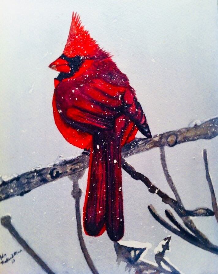 #watercolour#art#painting#cardinal#birds#snow#winter