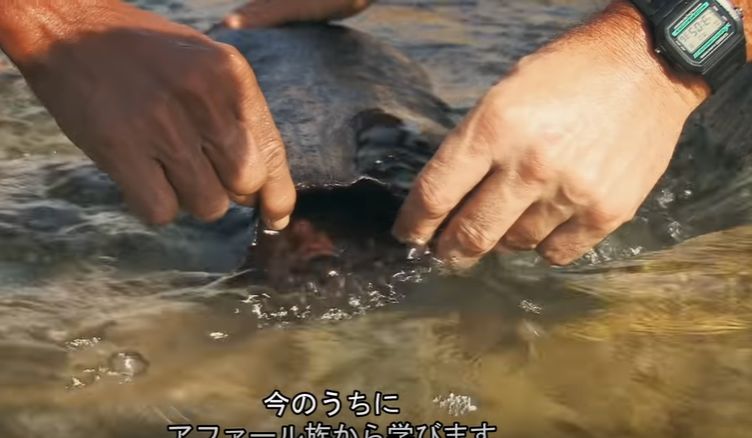 秘境生活