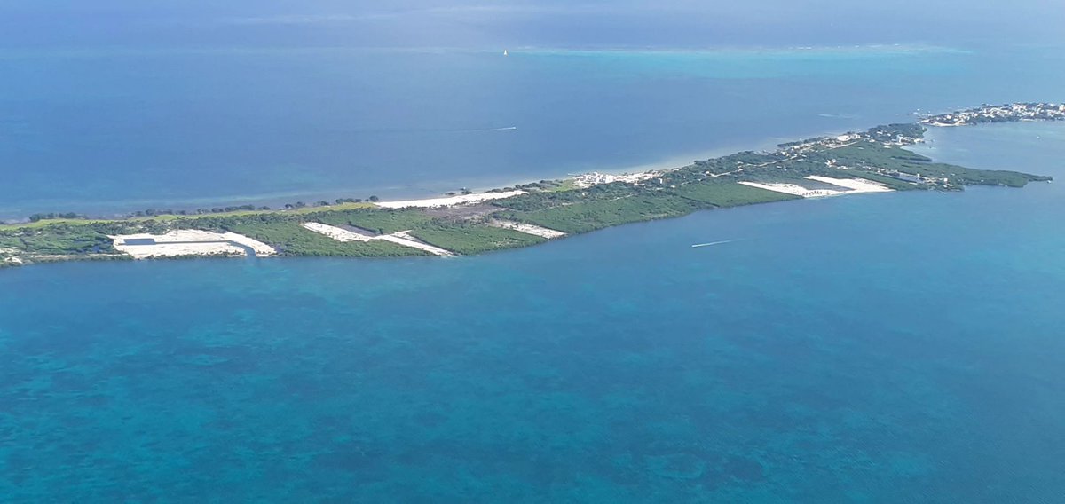 Leo Sosa tweet media