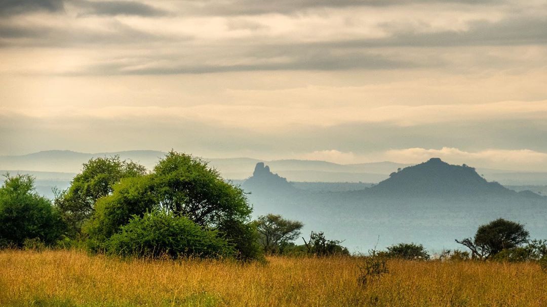 kenyapics's tweet image. Beautiful Laikipian landscape in the morning. Photo by Max Hartwall