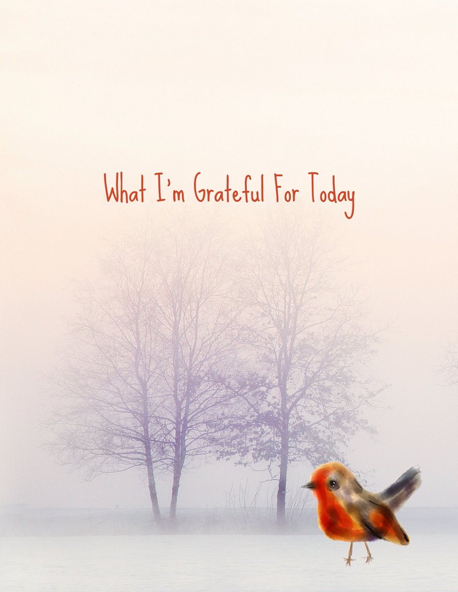 What I'm Grateful For Today 
It’s now available worldwide! This gratitude journal is 8 x 10 with 150 lined pages. 

#gifts #winter #amazon #birdlovers #holidaygifts #animallovers #christmas #gratitude #journal 
amazon.com/dp/1708875662/…
