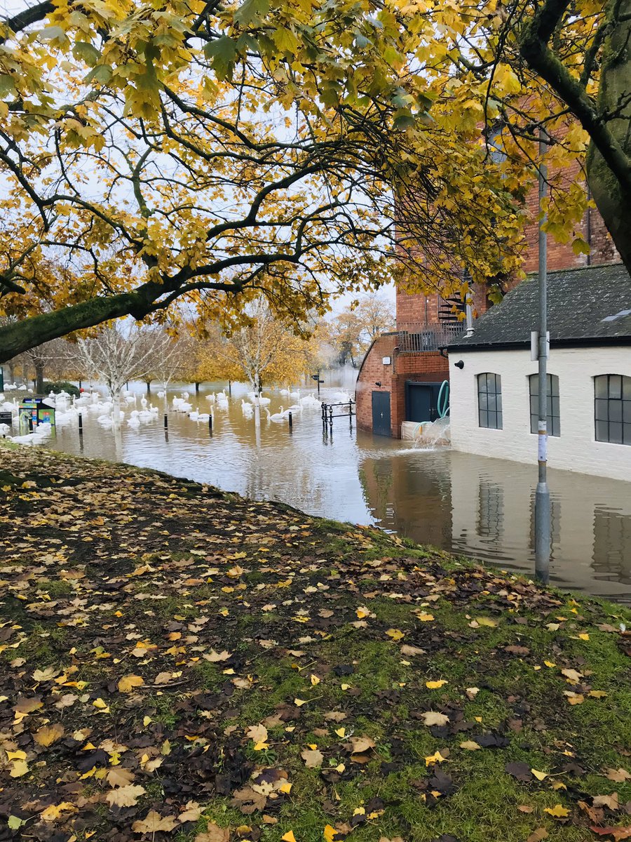 MsRMerry's tweet photo. Gentle #MercerActive #Autumn walk.. to see the #floods in #Worcester. #InsuranceGeek #WorcesterFloods #RiverSevern https://t.co/9AsrxtFFXg