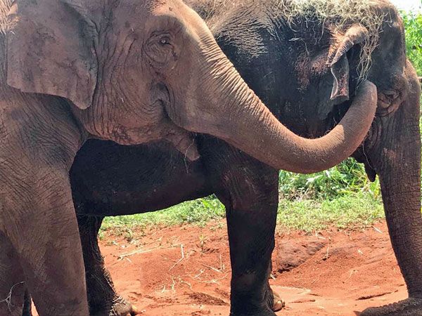 AnimalParaíso tweet media