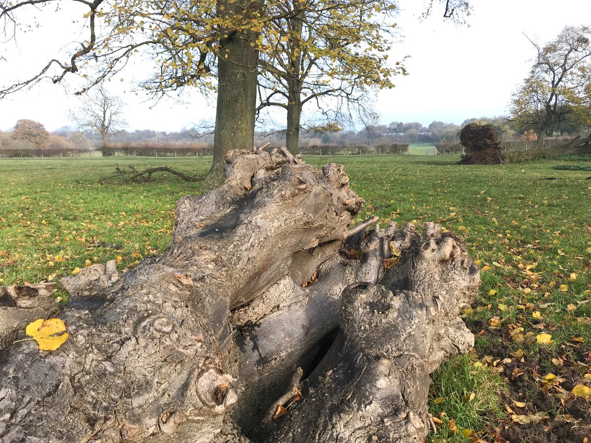 Today’s run ended with sodden feet.