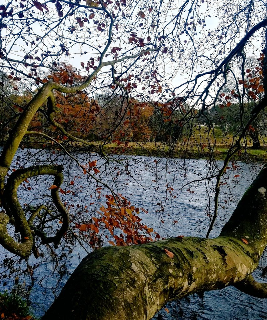 blonde_on_bikes's tweet photo. Muddy MTB ride🚴‍♂️ today along the #rivertweed. All made better by the sun coming out 🌞👌 #scottishborders #bordersbelles #mountainbiking #gravelriding #wintertraining #galapaths #naturelover #trekbikes https://t.co/JPk8Tb2N3e