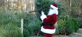 RedwingsDunst's tweet photo. With Christmas just around the corner are you thinking of visiting friends or family in the local area, If so you will be pleased to know Redwings Lodge Dunstable is open all over Christmas.
We have fantastic deals for families travelling this Christmas, 🤶🤶🤶🎄🎄🎄🎄🤶🤶🤶 https://t.co/yszcaaZAiy