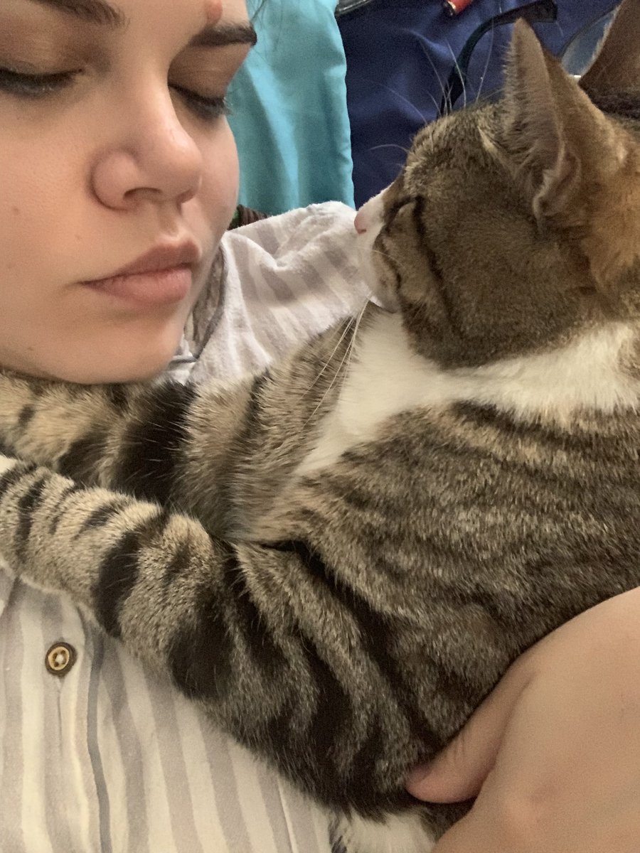WinslowIsACat's tweet photo. there was a sound but it’s ok now https://t.co/YEwB5psB0X
