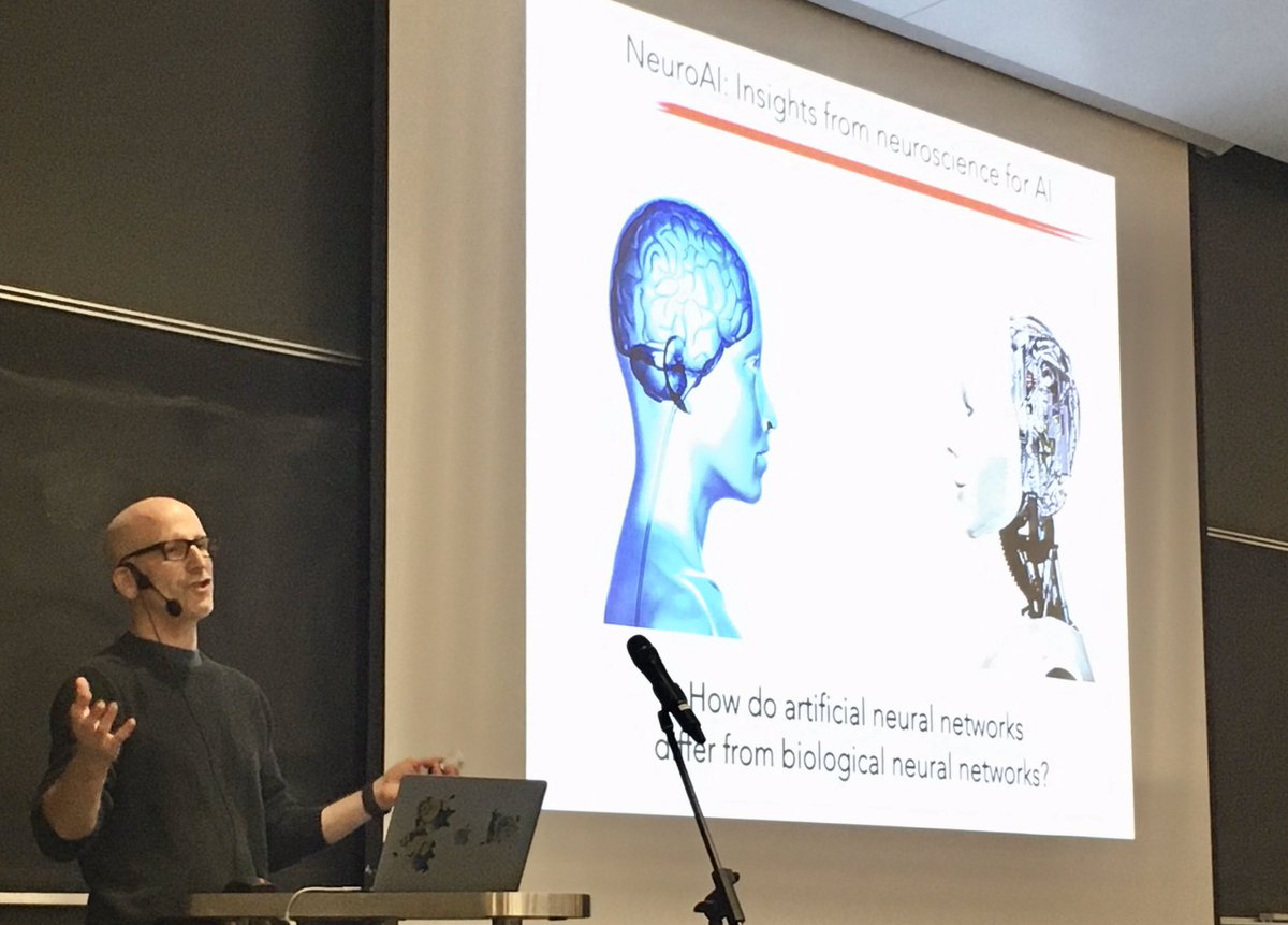 MAIN_Community's tweet photo. Live from #MAIN2019 - Tony Zador (Cold Spring Harbor Laboratory, NY, USA) "A Critique of Pure Learning" - claims AI relies on learning, while biological intelligence relies more on innate capacities (genetics and rules for brain wiring) than learning. https://t.co/a0Er14ODTJ