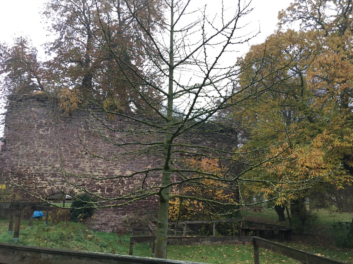 CoraLandshuter's tweet photo. #Veltheimsburg #Sonntagsausflug #bebertal https://t.co/7Dqo0T3j9h