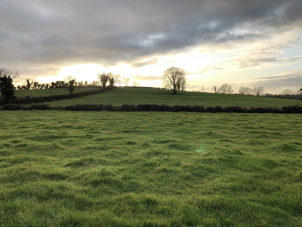 Abundant rainfall means water stress is not an issue when producing food in Ireland. Currently, 40% (and rising) of the world’s food comes from irrigated agriculture. If the world is to feed its growing population sustainably, Ireland should be producing more food, not timber