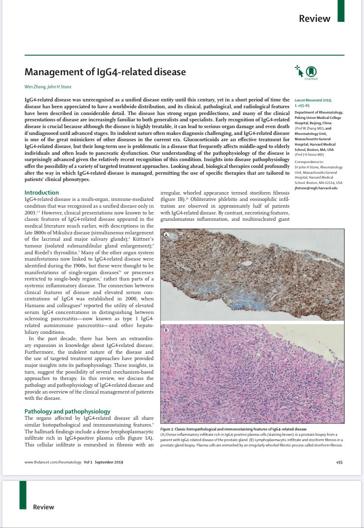 Excelente revisión del manejo de la enfermedad relacionada por IgG4.