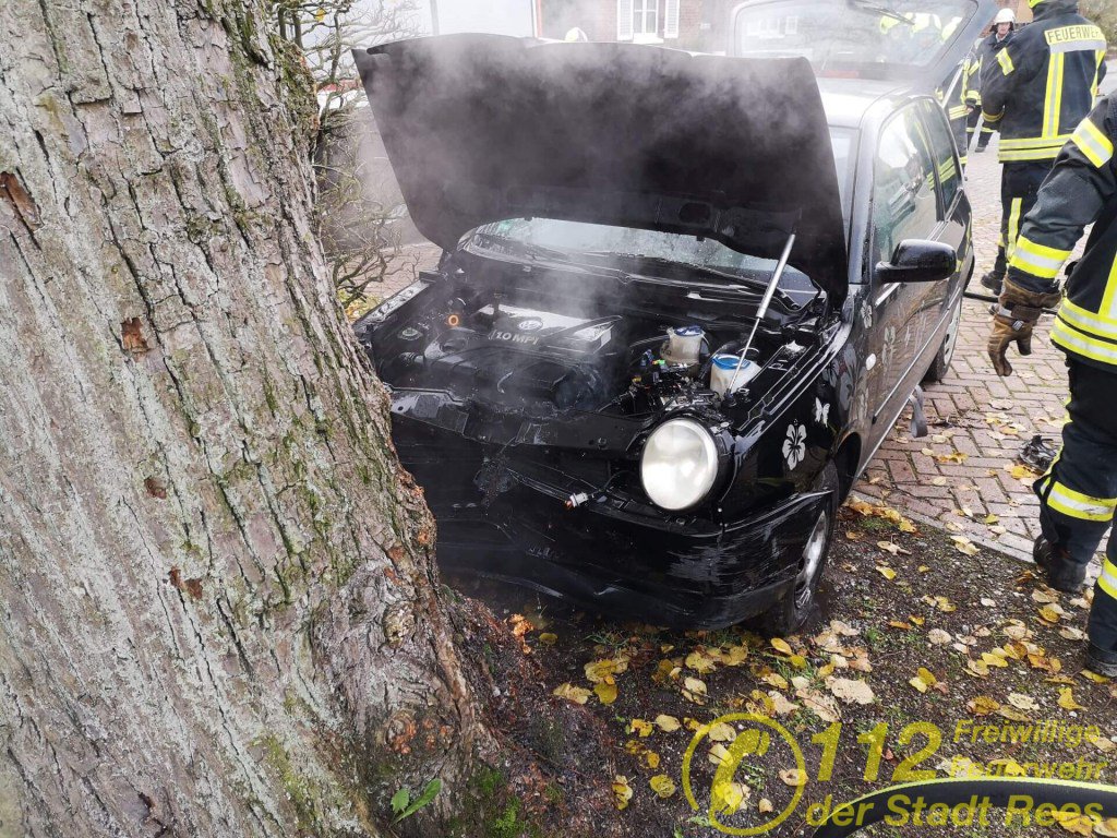 🚒 Fahrzeugbrand am Millinger Friedhof 🚨
Zu einem gemeldeten Fahrzeugbrand auf der Anholter Straße in Millingen wurden die Einheiten Millingen und Bienen am Sonntagmittag alarmiert.
#FFRees #LZMillingen #LZBienen #FürMichFürAlle… feuerwehr-rees.de/2019/11/17/fah…