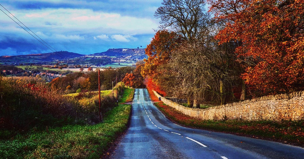 Scenes of an Autumnal Nature. 
#cyclinglife #yorkshire #howardianhills @Howardian_Hills