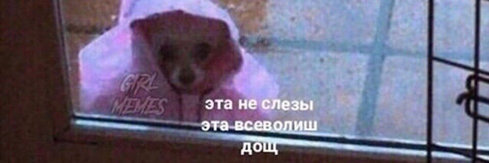 девушка дождь. это не слезы это просто. цитаты про слезы. это не слезы это тает. слезы это не признак слабости.